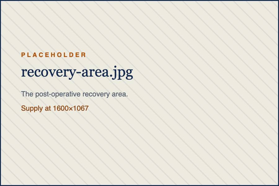 The post-operative recovery area.